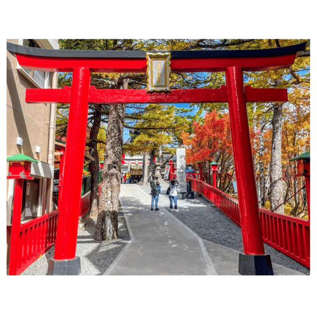 Tokyo: Mount Fuji & Hakone Private Car Day Tour Lowest Price - Key points to know before booking