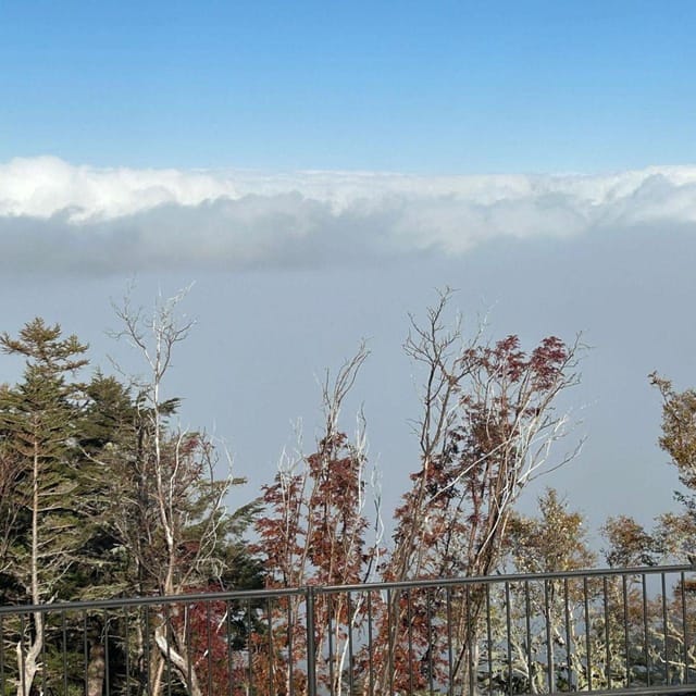 Tokyo: Mount Fuji & Hakone Private Car Day Tour Lowest Price - What the drivers add to the day