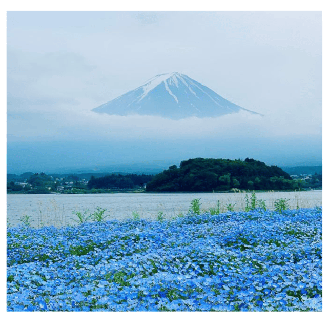 Tokyo: Mount Fuji & Hakone Private Car Day Tour Lowest Price - Kitaguchi-hongu Fuji Sengen Shrine