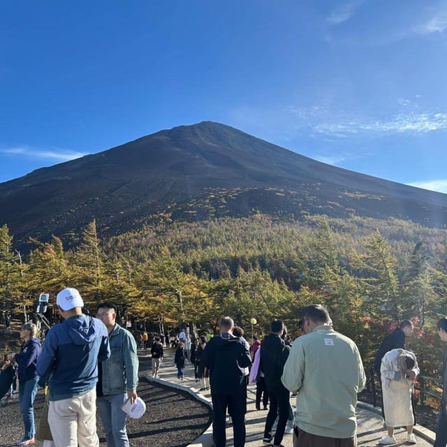 Tokyo: Mount Fuji & Hakone Private Car Day Tour Lowest Price - Mt. Kachi Kachi Ropeway and Lake Kawaguchi