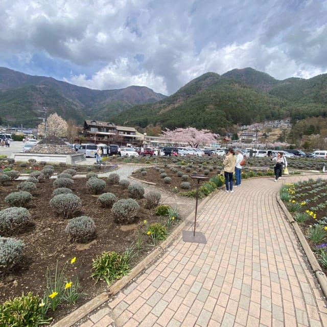 Tokyo: Mount Fuji & Hakone Private Car Day Tour Lowest Price - Starting from Tokyo’s 23 wards
