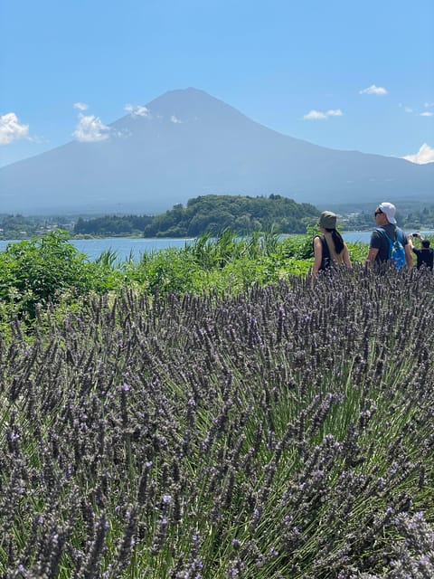Tokyo: Mount fuji & Hakone Private Day Tour - Oshino Hakkai, clear springs, and traditional houses