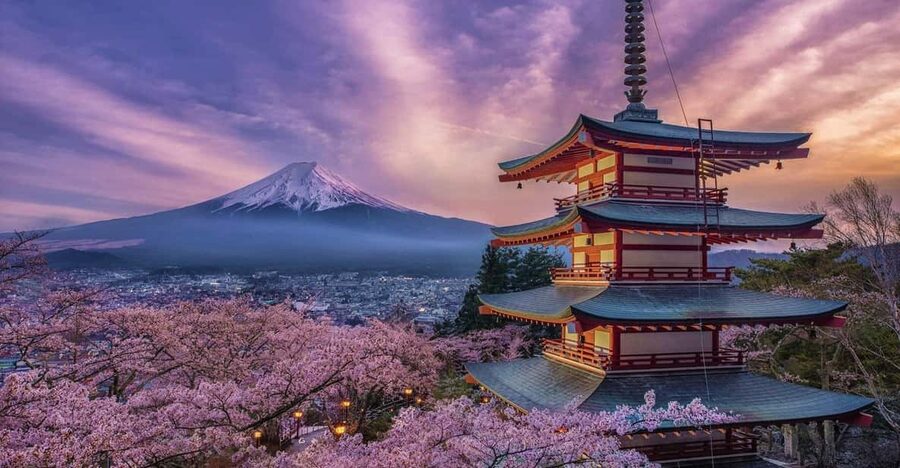 Tokyo: Mount Fuji & Hakone Private Tour with Guide - Why this private Fuji and Hakone day works