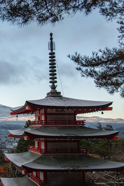 Tokyo: Mount Fuji & Hakone Private Tour with Guide - Who should book this tour?