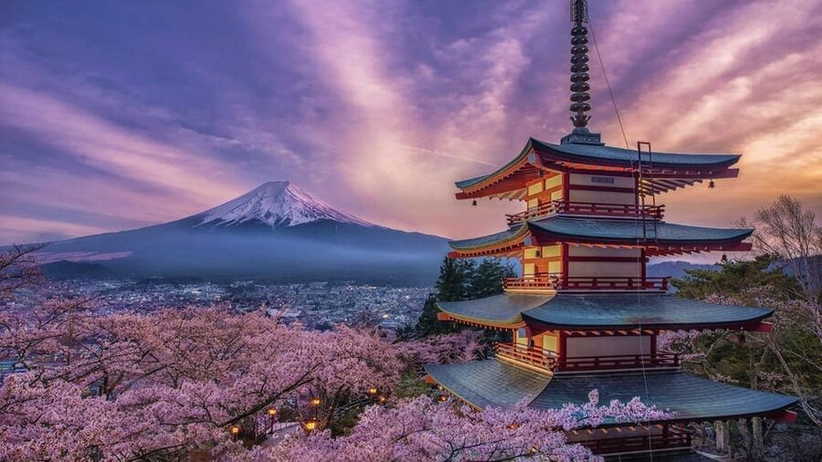 Tokyo: Mount Fuji & Hakone Private Tour with Guide - Oshino Hakkai: ponds, snacks, and a useful lunch stop