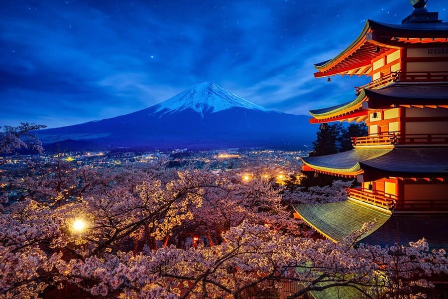Tokyo: Mount Fuji & Hakone Private Tour with Guide - Chureito Pagoda and the famous Fuji view