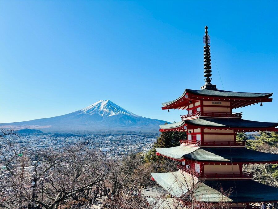 Tokyo: Mount Fuji Private Customized English Guided Tour - Kitaguchi Hongu Fuji Sengen Shrine brings quiet and culture