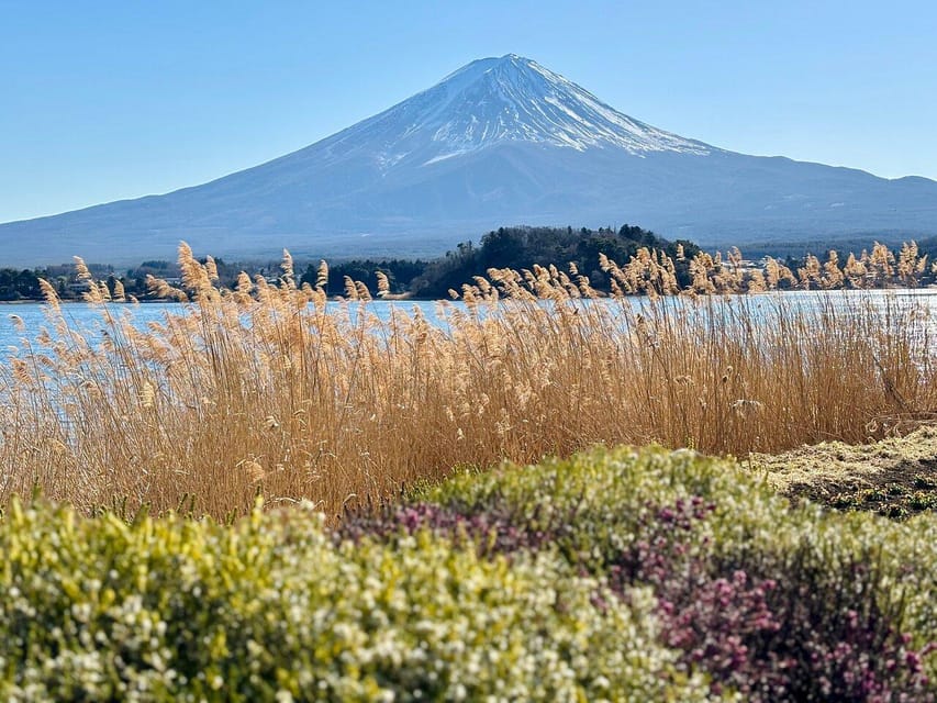 Tokyo: Mount Fuji Private Customized English Guided Tour - Chureito Pagoda delivers the famous Fuji view