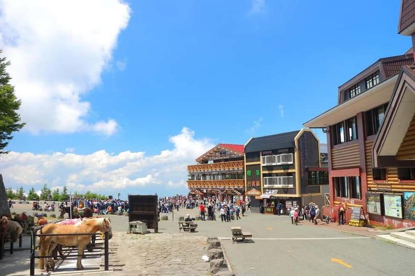 Tokyo: Mt. Fuji 5th St, Gotemba & Hakone by Luxury Bus - Gotemba Premium Outlets: shopping with a time limit