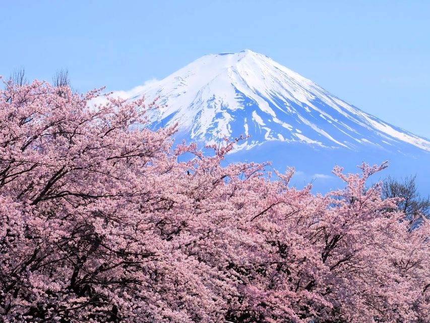 Tokyo: Mt. Fuji 5th Station & Hakone Cruise 1-Day Bus Tour - Mt. Fuji 5th Station at 2,000 meters