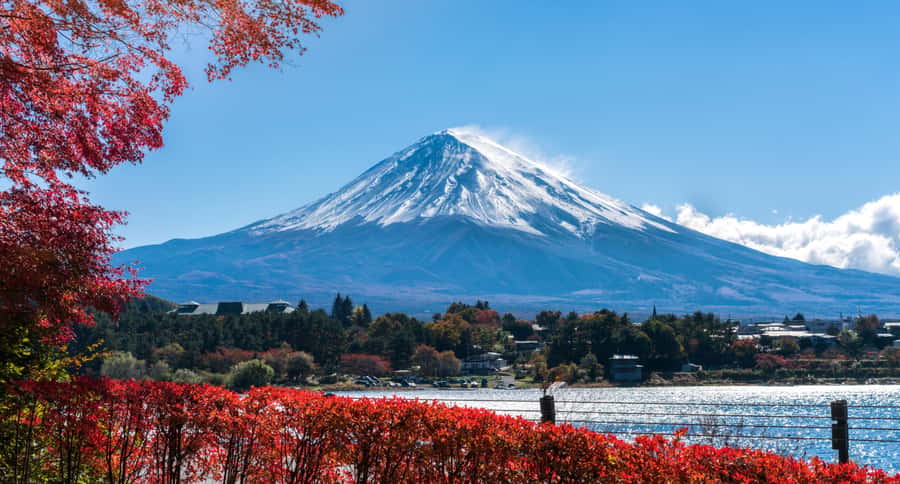 Tokyo: Mt. Fuji 5th Station, Kawaguchiko Tour w/ Cable Car - Bus Time, Traffic, and Comfort