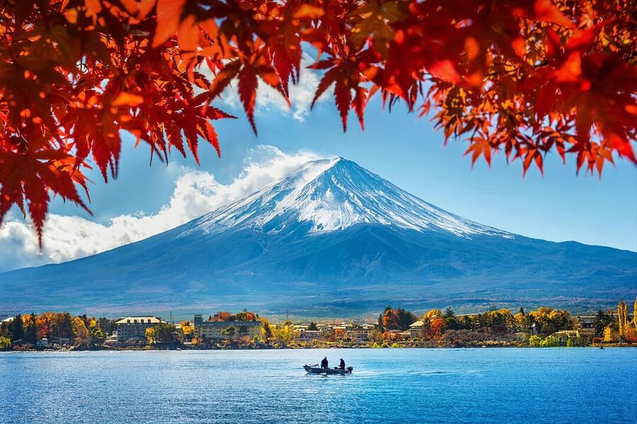 Tokyo: Mt. Fuji and Hakone tour with English Speaking Driver - Key points at a glance