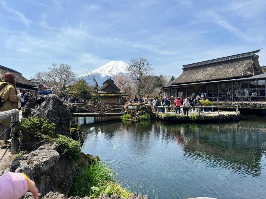 Tokyo: Mt. Fuji and Hakone tour with English Speaking Driver - Pickup, comfort, and the long road home