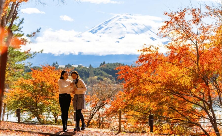 Tokyo: Mt. Fuji and Hakone tour with English Speaking Driver - One private day for Fuji and Hakone