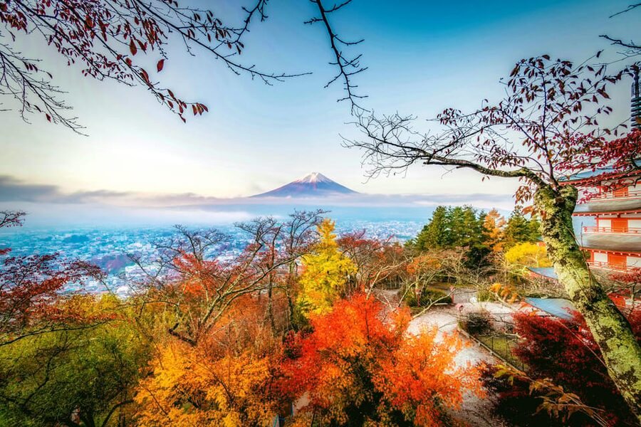 Tokyo: Mt. Fuji and Hakone tour with English Speaking Driver - Lake Yamanaka and the quieter side of Fuji