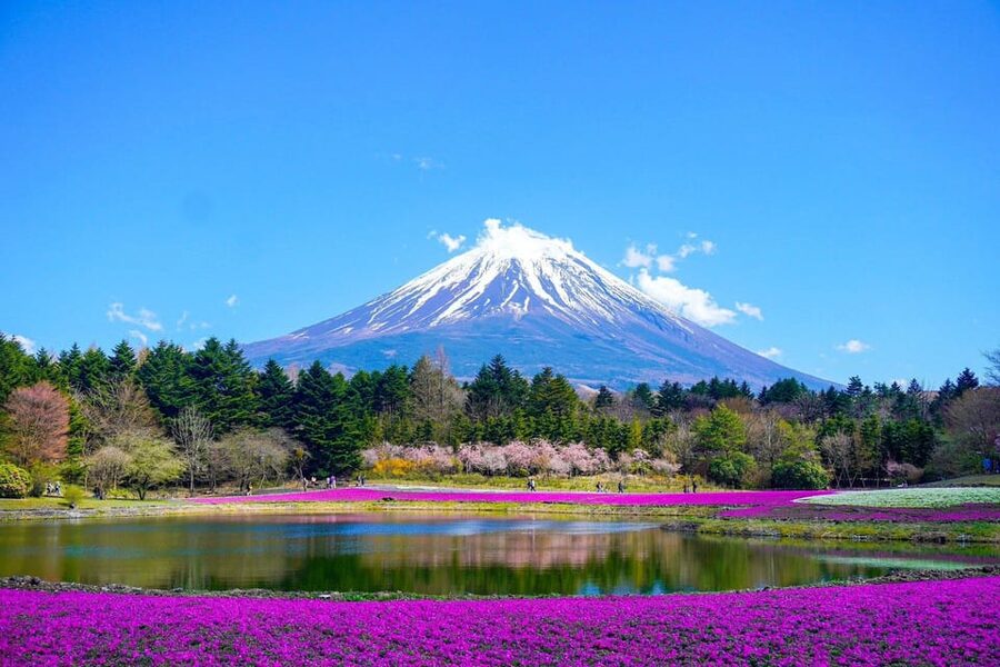 Tokyo: Mt. Fuji and Hakone tour with English Speaking Driver - Hakone Ropeway and Lake Ashi