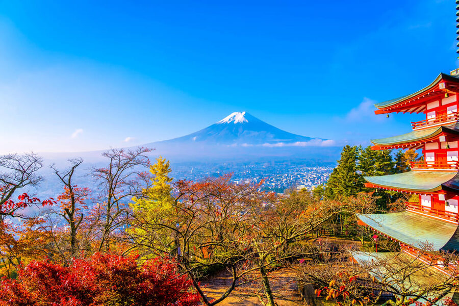 Tokyo: Mt. Fuji and Hakone tour with English Speaking Driver - What the English-speaking driver adds