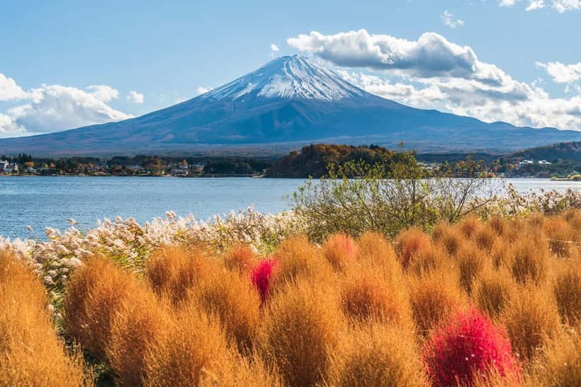 Tokyo: Mt. Fuji, Arakurayama Sengen Park, Oshino Hakkai Tour - Oishi Park, with an important weekday catch