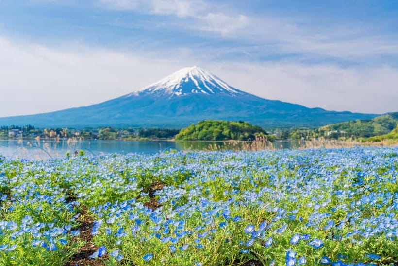 Tokyo: Mt. Fuji, Arakurayama Sengen Park, Oshino Hakkai Tour - Who should book this Fuji day trip?