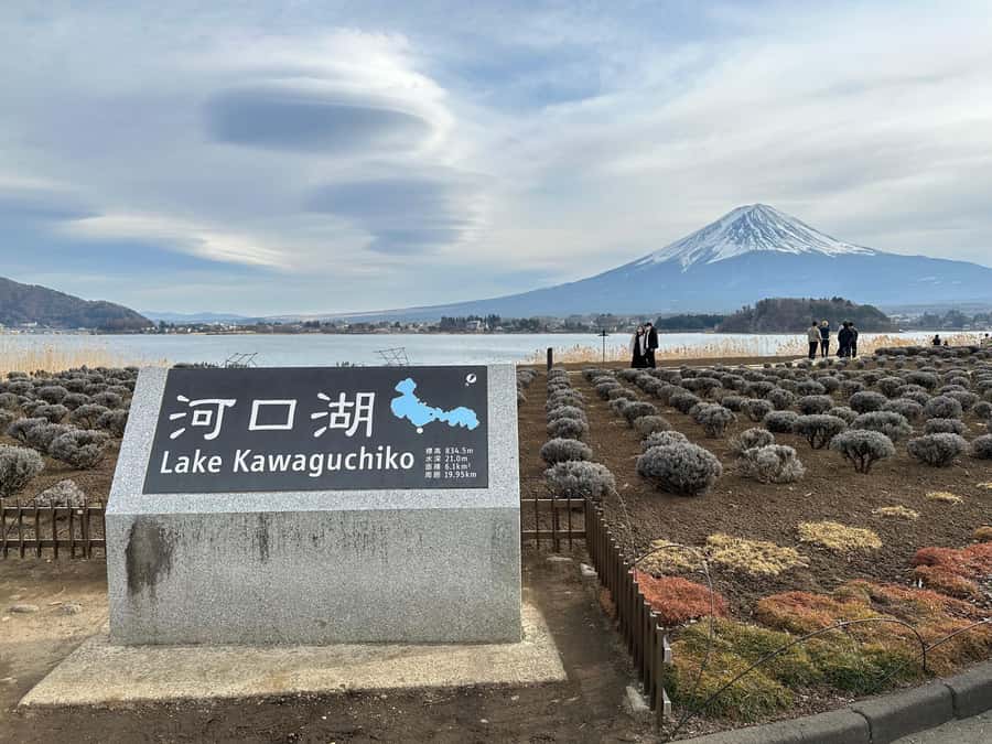 Tokyo: Mt Fuji Area Guided Tour with Traditional Lunch - Why this Mt. Fuji day trip works from Tokyo