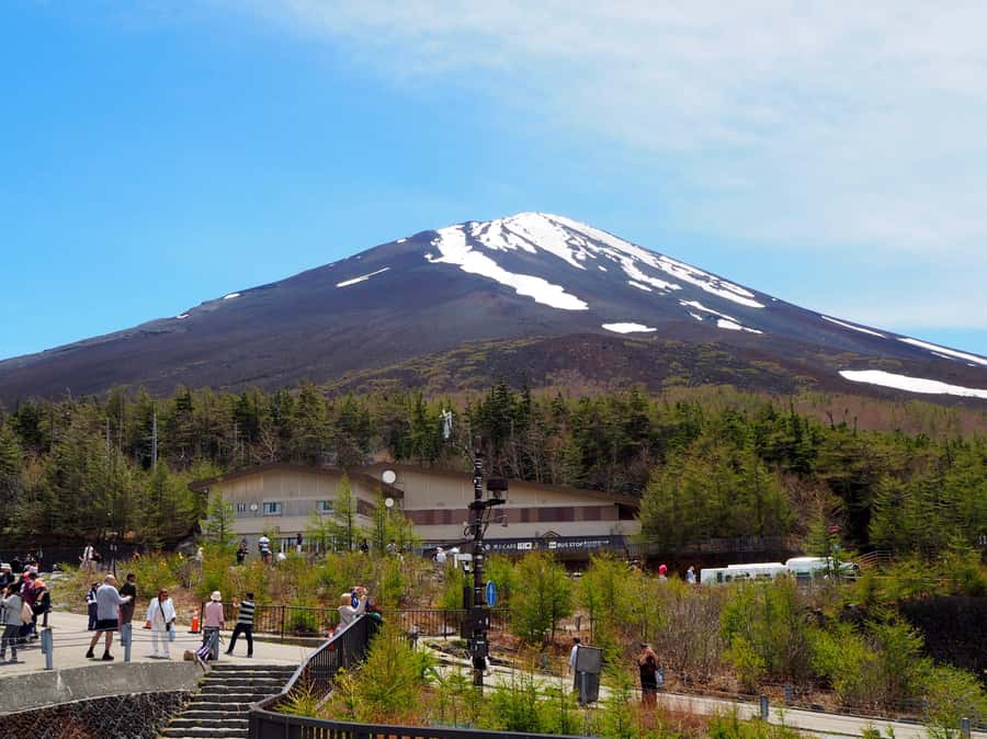 Tokyo: Mt Fuji Area Guided Tour with Traditional Lunch - A Japanese lunch at Hotel Regina Kawaguchiko