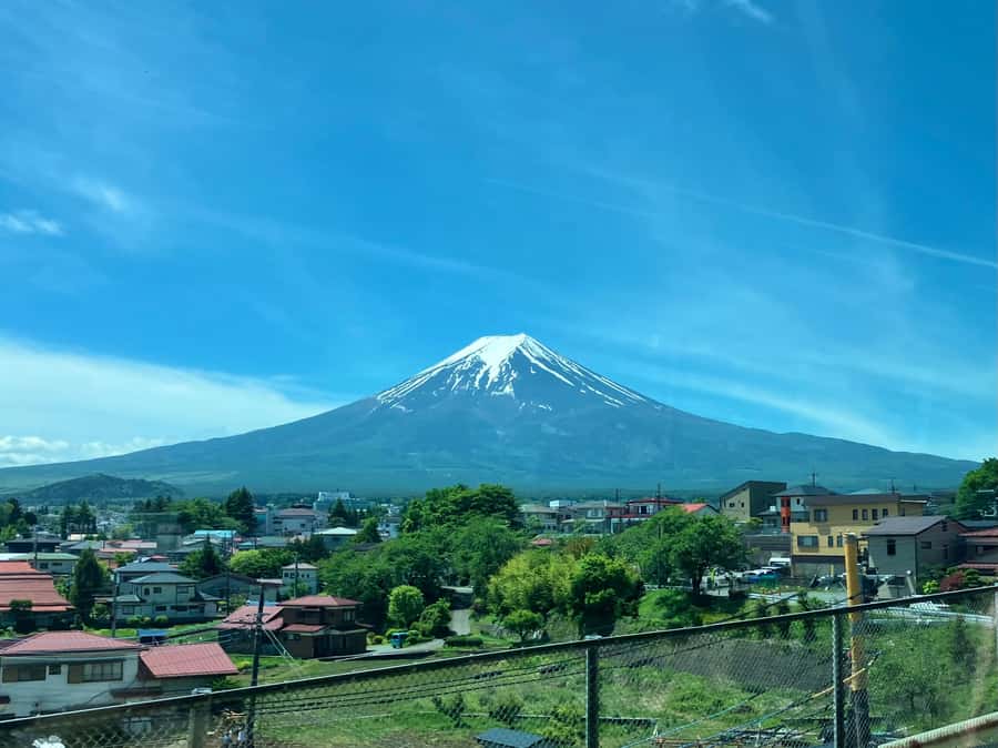 Tokyo: Mt Fuji Area Guided Tour with Traditional Lunch - Oishi Park and Lake Kawaguchi