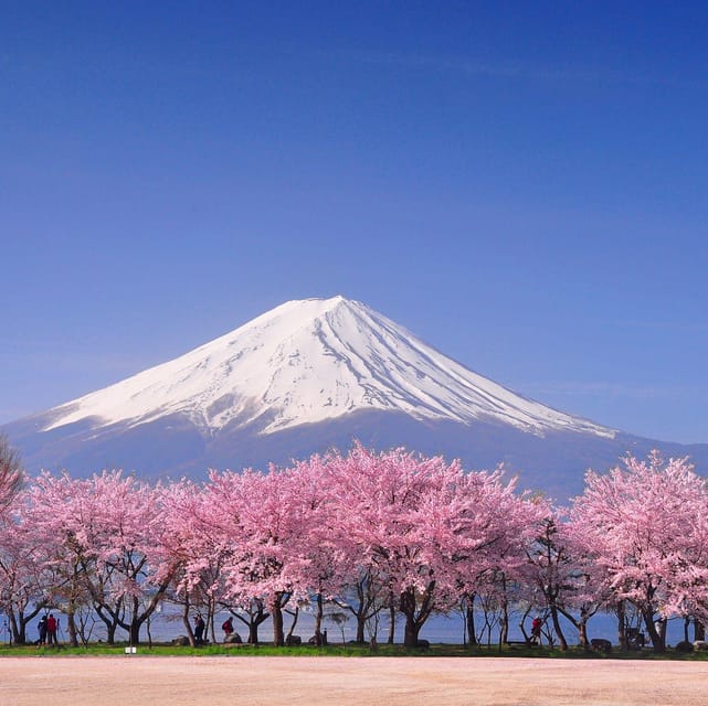Tokyo: Mt. Fuji & Hakone Cherry Blossoms Private Day Tour - A big Fuji day from Tokyo