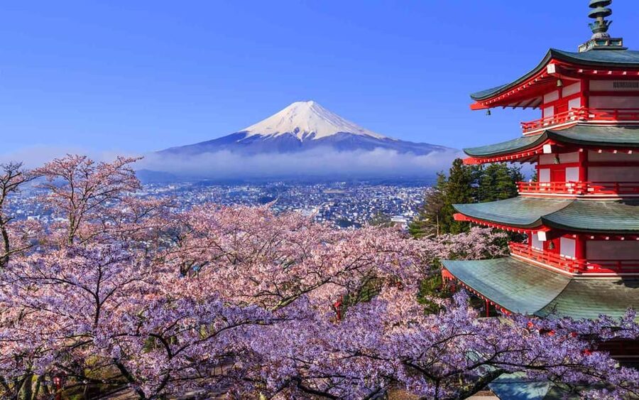 Tokyo: Mt. Fuji & Hakone Cherry Blossoms Private Day Tour - Oshino Hakkai, clear water, and small shops