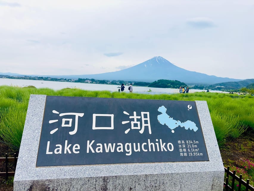 Tokyo: Mt. Fuji & Hakone Cherry Blossoms Private Day Tour - Oishi Park and the lavender garden