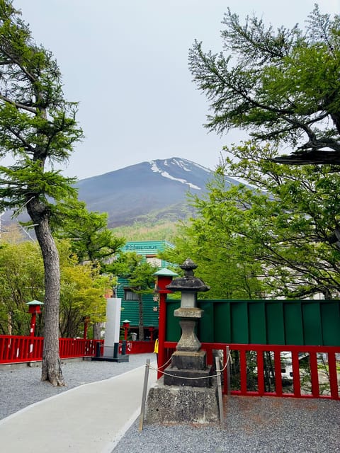 Tokyo: Mt. Fuji & Hakone Cherry Blossoms Private Day Tour - Lake Ashi and the Hakone caldera