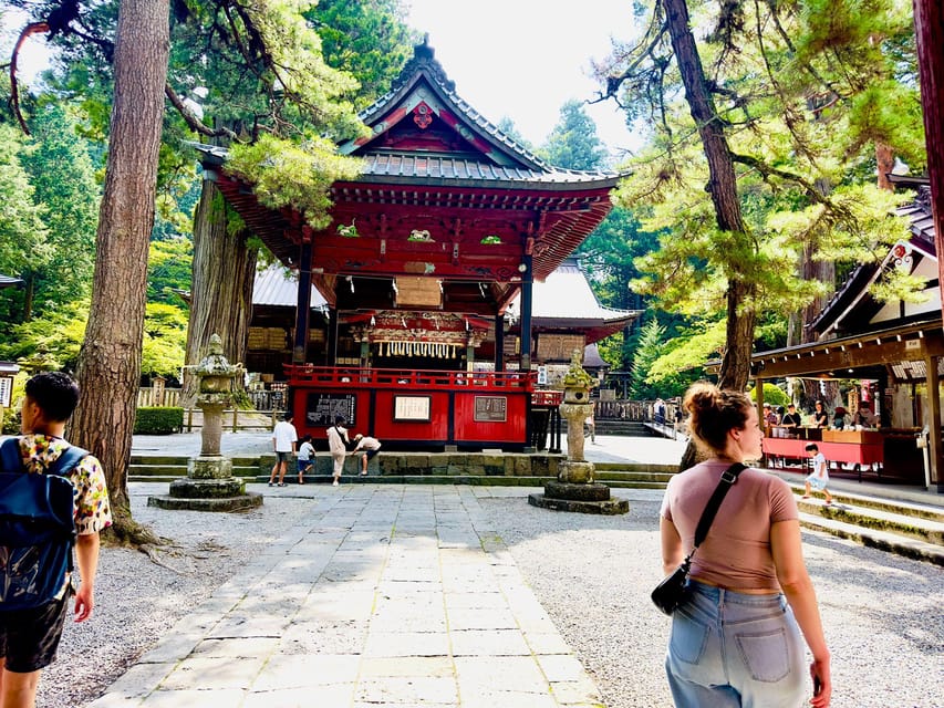 Tokyo: Mt. Fuji & Hakone Cherry Blossoms Private Day Tour - Gotemba Premium Outlets as a change of pace