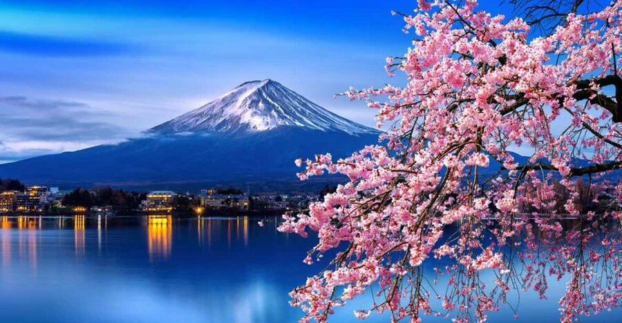 Tokyo: Mt. Fuji & Hakone Cherry Blossoms Private Day Tour - Chureito Pagoda and the cherry-tree climb