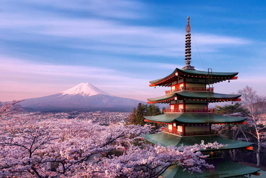 Tokyo:Mt Fuji & Hakone Day Tour with English Speaking Driver - Key points at a glance