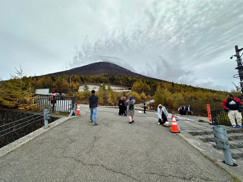 Tokyo:Mt Fuji & Hakone Day Tour with English Speaking Driver - Who should book this Fuji and Hakone trip?
