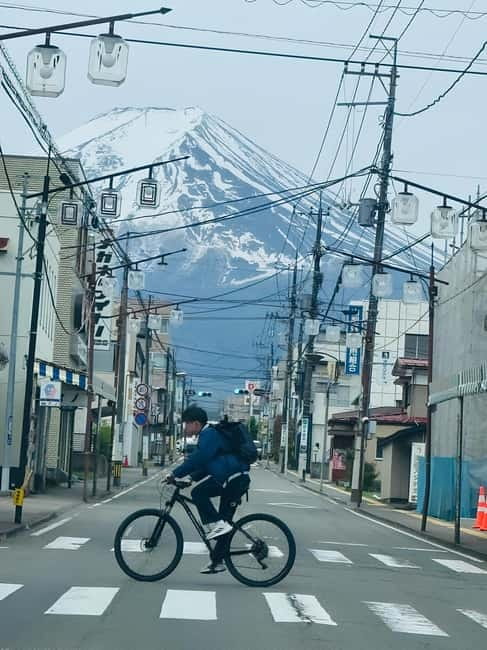 Tokyo: Mt. Fuji & Hakone Private Custom Tour English Driver - Why a private car makes sense from Tokyo