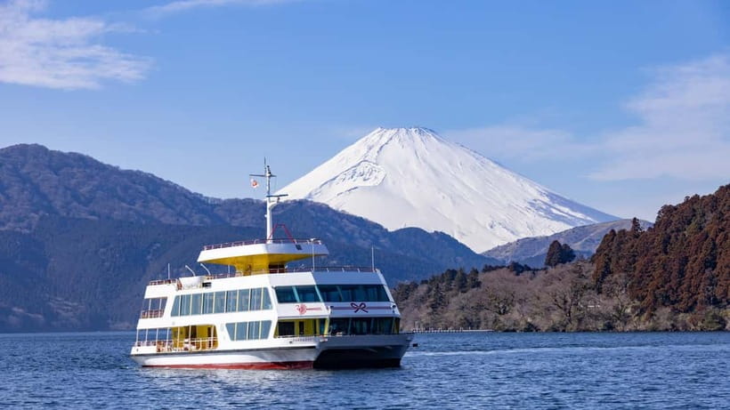 Tokyo: Mt. Fuji & Hakone Private Custom Tour English Driver - Saiko Iyashi-no-Sato Nenba and the quieter Fuji area