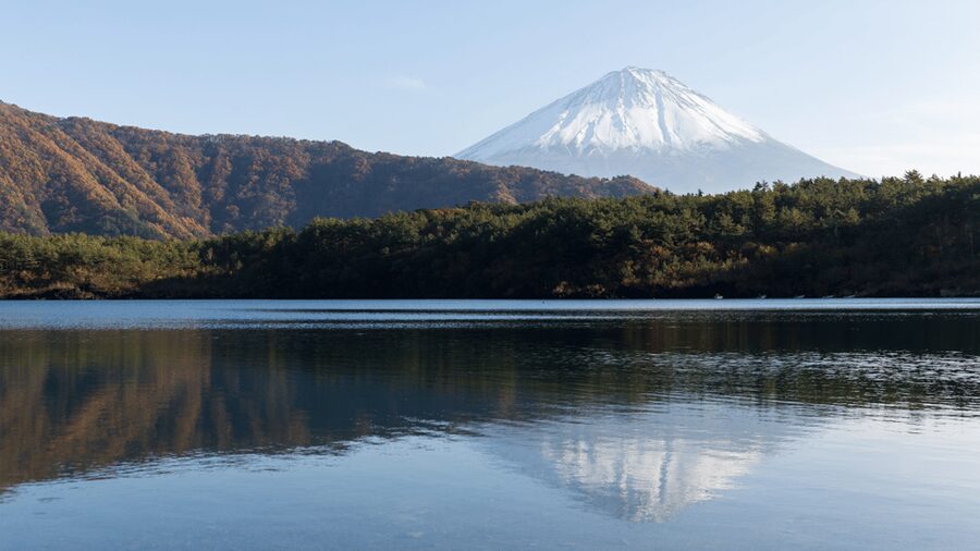 Tokyo: Mt. Fuji Hidden Gems and Aokigahara Forest Tour - The driver’s role and what to expect