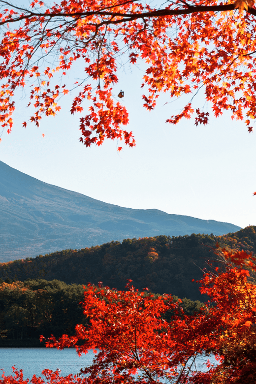 Tokyo: Mt. Fuji Hidden Gems and Aokigahara Forest Tour - Why this Fuji day trip feels different
