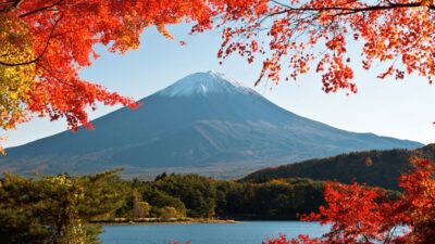 Tokyo: Mt. Fuji Hidden Gems and Aokigahara Forest Tour