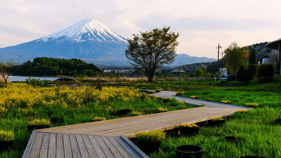 Tokyo: Mt. Fuji Hidden Gems and Aokigahara Forest Tour - Narusawa Ice Cave and its narrow passages