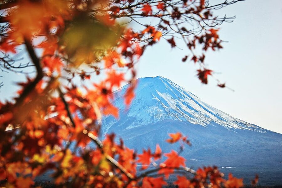 Tokyo: Mt. Fuji Hidden Gems and Aokigahara Forest Tour - Fugaku Wind Cave and the forest walk
