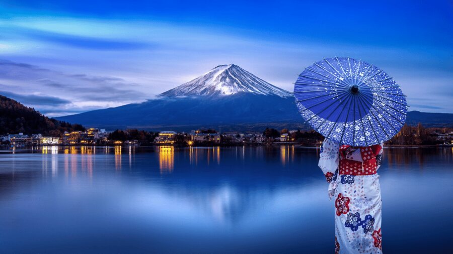 Tokyo: Mt. Fuji Hidden Gems and Aokigahara Forest Tour - Aokigahara Forest with care and respect