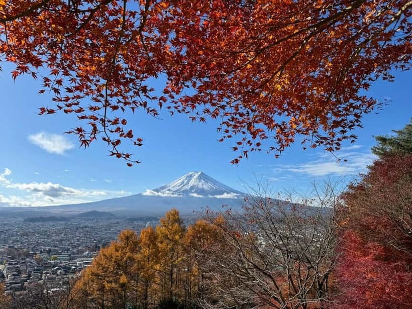 Tokyo: Mt. Fuji Highlights Tour with Lake Kawaguchi Cruise - Oshino Hakkai’s Eight Clear Springs