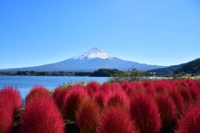 Tokyo: Mt. Fuji Highlights Tour with Lake Kawaguchi Cruise - Oishi Park and Four Seasons of Fuji