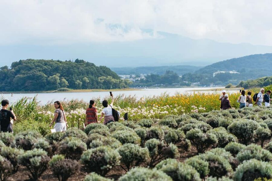 Tokyo: Mt. Fuji, Kamakura, Big Buddha, & Lake Ashi Day Trip - Oishi Park, Lake Kawaguchi, and Fuji views