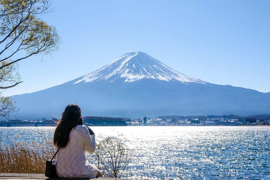 Tokyo: Mt. Fuji, Kamakura, Big Buddha, & Lake Ashi Day Trip - What the English and Spanish guiding adds