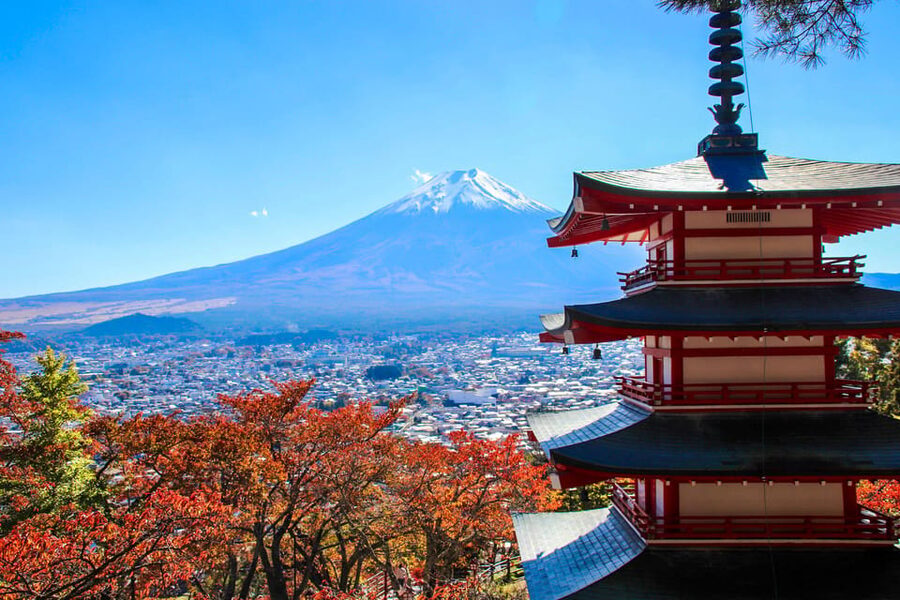 Tokyo:Mt.Fuji,Kawaguchiko Oishi Park,Arakurayama Sengen Park - What the bus day is really like