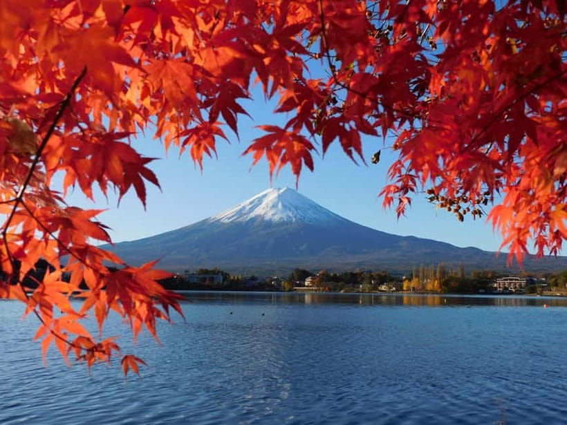 Tokyo:Mt.Fuji,Kawaguchiko Oishi Park,Arakurayama Sengen Park - Arakurayama Sengen Park and the climb to Chureito Pagoda