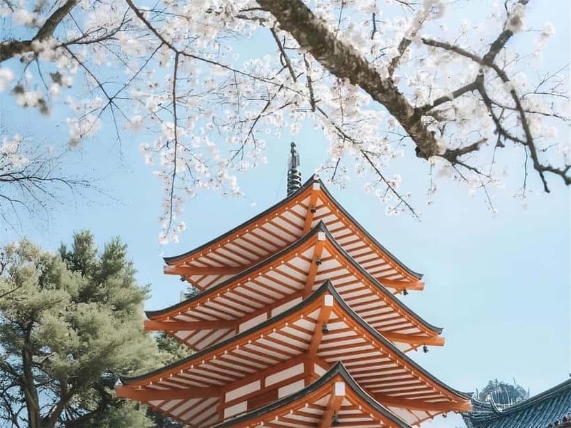 Tokyo: Mt. Fuji & Lake Kawaguchi Instagram Full Day Trip - Oishi Park and Lake Kawaguchi