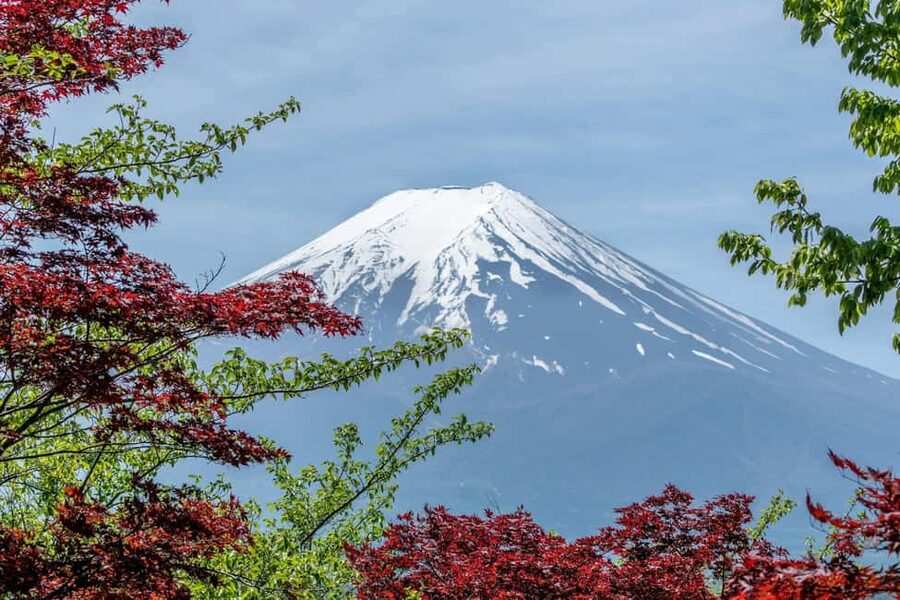 Tokyo: Mt. Fuji & Lake Kawaguchi Private Tour with Transfer - Chureito Pagoda and the classic Fuji view